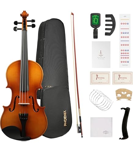 Amazon.com: 4/4 Acoustic Violin Set,Beginner Violin Vintage